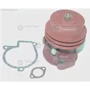 Помпа Д-245 ГАЗ-3310 ЕВРО-2 245-1307010 А1-07
